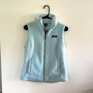 🆕 NWT Patagonia Vest